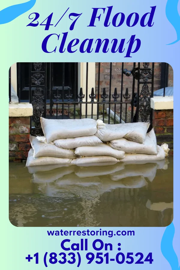 24/7 Flood Cleanup in Copemish, MI