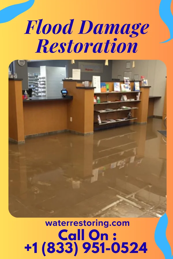 Flood Damage Restoration in Copemish, MI